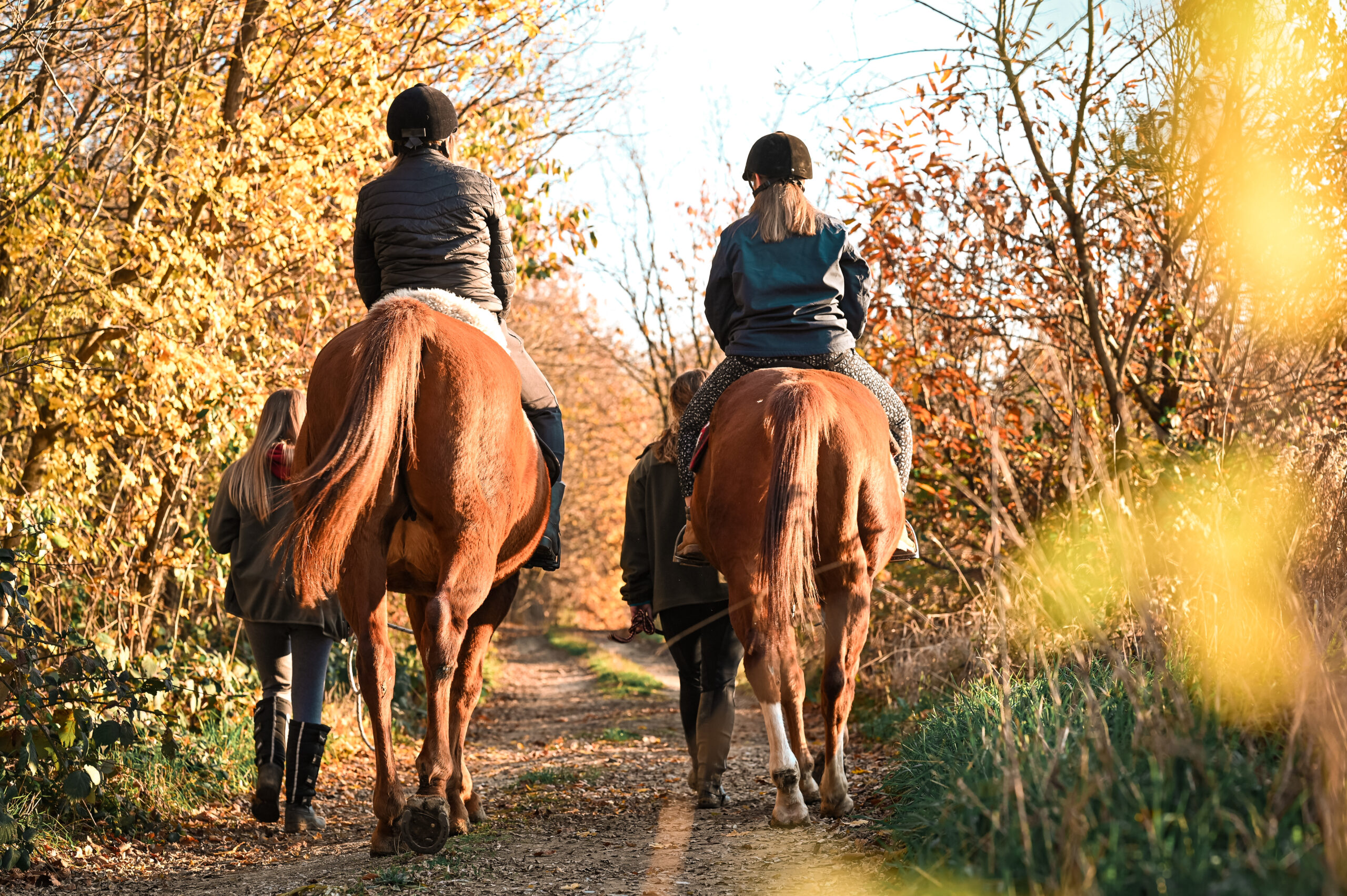 Terensko jahanje na imanju Ranch Nađalina